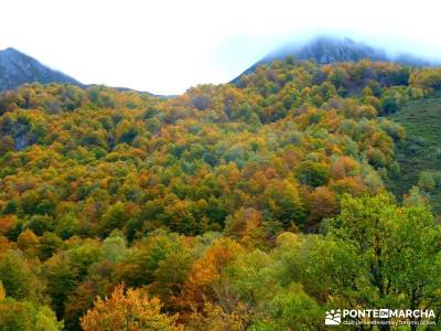 Hayedos Parque Natural de Redes;a tu aire senderismo tiendas de montaña en madrid excursiones desde